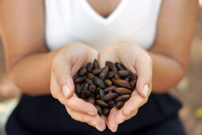 Midsection of woman holding chestnuts