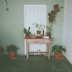 Potted plants on the wall