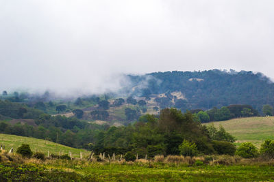 Landscape with mountain range in background