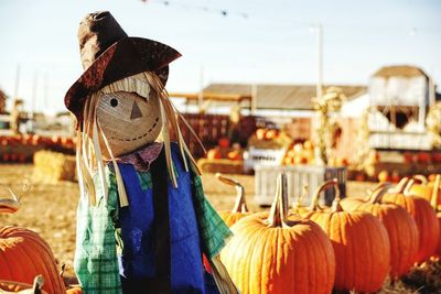 Close-up of scarecrow by pumpkins