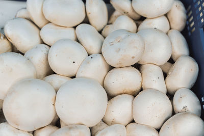 Full frame shot of onions for sale at market