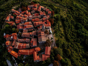 High angle view of townscape and trees in town