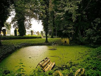 Scenic view of grass and trees