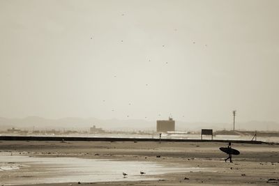 Silhouette birds on shore against sky