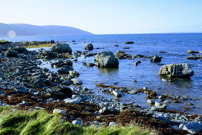 Scenic view of sea against clear sky