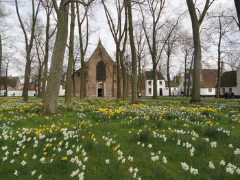 Church on field against sky