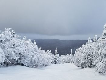 Snow covered landscape against sky