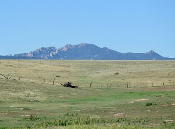 Scenic view of field against clear sky