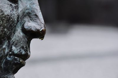 Cropped image of wet statue during rainy season