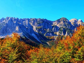 Scenic view of autumn trees against sky