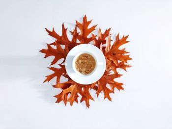 High angle view of coffee on table against white background