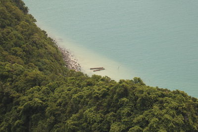 High angle view of trees by sea