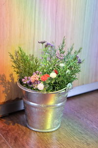 Close-up of potted plant on table