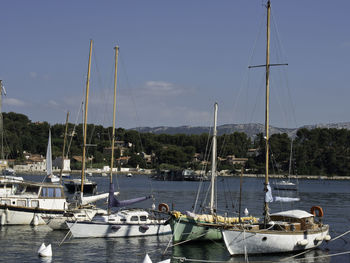 Sailboats moored at harbor against sky