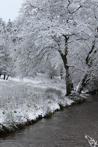 Close-up of snow covered landscape