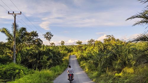 Road amidst plants and trees against sky