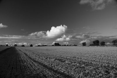 Scenic view of agricultural field against sky