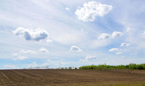 Scenic view of agricultural field against sky