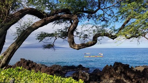 Scenic view of sea against clear sky