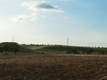 Scenic view of field against sky