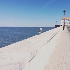 Scenic view of sea against clear blue sky