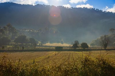 Scenic view of field against sky