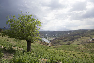 Scenic view of landscape against sky