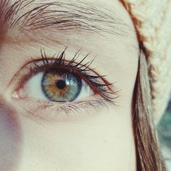 Cropped image of woman with brown eye