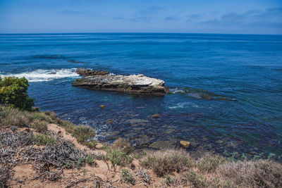 Cormorants gather on a rock on the pacific ocean at la jolla in san diego, california