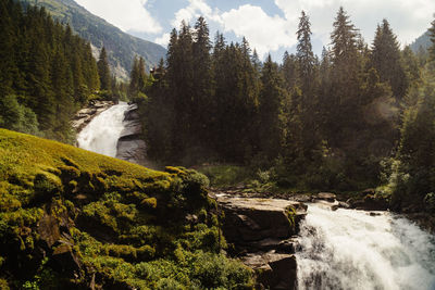 Scenic view of waterfall in forest