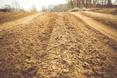 Surface level of dirt road on field