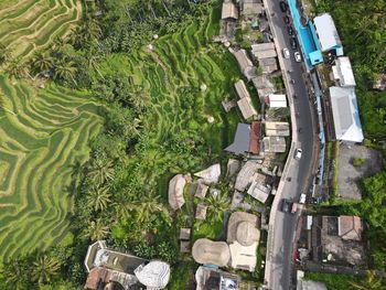 High angle view of agricultural field