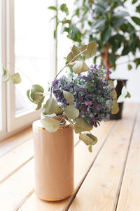 Green flowers and plants in a pot decorating a cozy home