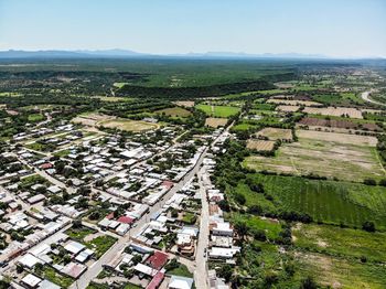 High angle view of trees and buildings in city