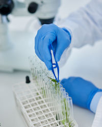 Scientist examining chemical in laboratory