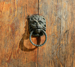 Bronze lion head knocker on a wooden door.