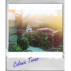 Close-up of a window