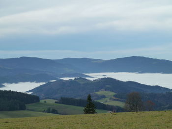 Scenic view of landscape and mountains against sky