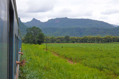 Scenic view of field against sky