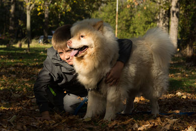 Full length of dog on field