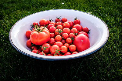 High angle view of strawberries in bowl on field