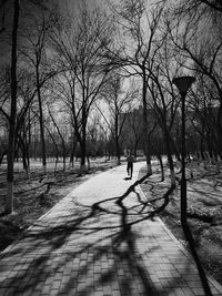 People walking on footpath in park