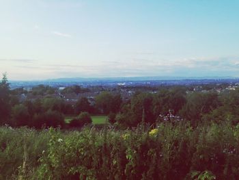 Scenic view of landscape against sky