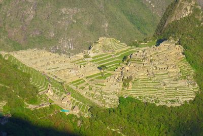 High angle view of agricultural field