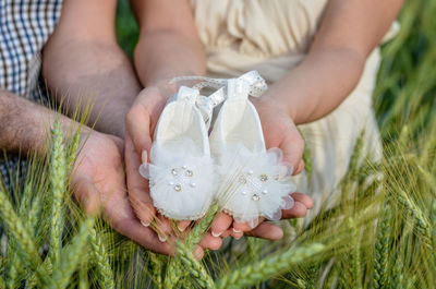 Close-up of hands holding white flower on field