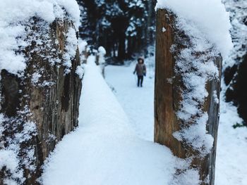 People on snow covered trees