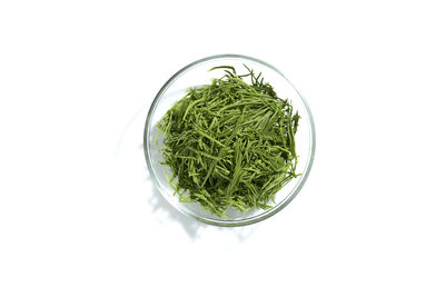 Directly above shot of green plant against white background