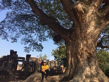 Man standing by tree trunk against sky