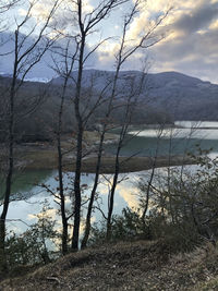 Scenic view of lake by trees against sky