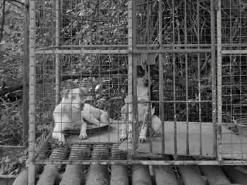 Men sitting on metal fence